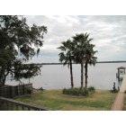 Palatka: View of St. Johns River from West River Road