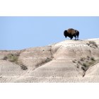 Kadoka: Buffalo Butte in Badlands Southwest of Kadoka