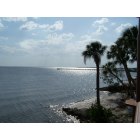 Port Charlotte: Charlotte Harbor From Portofinos