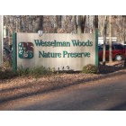 Evansville: : Nature Preserve Wesselmann Woods-Evansville