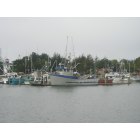 Eureka: Marina at Eureka, CA