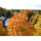 Bangor: : View of fall foliage from high atop Thomas Hill Standpipe