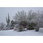 Carefree: Desert Snow
