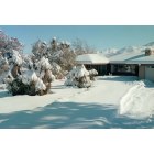 Yucca Valley: A foot of snow on our yard