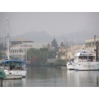 San Rafael: City Center From the Harbor