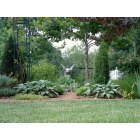 Brentwood: Herb Garden in Brentwood TN