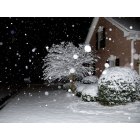 Aiken: February 12, 2010 Snowfall