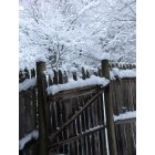 Hamden: February 2010 Snowfall, view of backyard in Southern Hamden near Eli Whitney Technical School.
