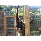 Monroe: LA Purchase Zoo
