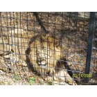 Monroe: : LA Purchase Zoo