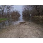 Swan: flooded road