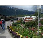 Skagway: Skagway, Flowers before White Pass Railway Station, August 2006