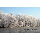 Logansport: : Frozen Fog at Wabash River & 18th St. - Ducks on the river (2/13/2010)