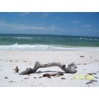Panama City Beach: Shell Island