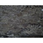 Forest City: Hi, this photo has been taken in LLanberis, Gwynedd, North Wales . It has been carved onto a rock below Dolbadarn Castle. Anyone know anything about JB Williams who emigrated to Forest City in1907?