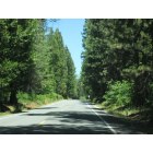Foresthill: driving down the road