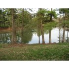 Flushing: Flushing,Ohio Park pond