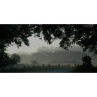Burton: Whitener Ranch