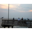 Fairhope: : End of F'hope pier and "it's friends".