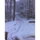 Auburn: Winter in Auburn