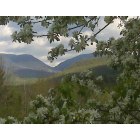 Jackson: Spring View of Carter Notch from Eagle Mountain House & Golf Club