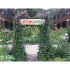 Minneapolis: : Loring Community School garden