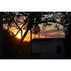 Orange Grove: Orange Grove, TX sunset