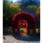 Hailey: A welcoming Fall entrance in downtown Hailey