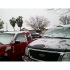 Williams: : snow on new years 01/01/2011