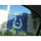 Indianapolis: : GO COLTS!!!!