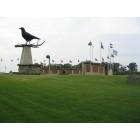 Belgrade: World's largest crow at Belgrade memorial