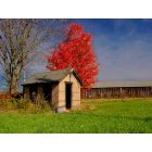 Enfield: Shed and Tobacco Barn (Broadbrook Rd. Enfield, CT)
