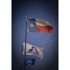 Arlington: : Flags over Arlington - by Pat Rutland