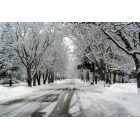 Scottville: Winter street in Scottville, MI