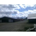 Pike: horse barns in the fair grounds 2011