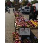 Ludington: : SOME of the 'BEST' APPLES YOU'LL FIND