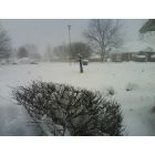 Bentonville: Snow Storm