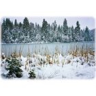 Shingletown: Woodridge Lake in the Winter