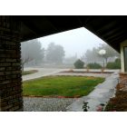 Apple Valley: : A foggy ,chilly morning in Apple Valley