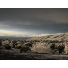 Placitas: Snowy day in the Winter of 2010