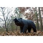 Monroe: : Metal bear figure - Black Bayou Lake Park