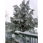 Algoma: winter in Algoma