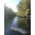 Oak View: River Pool