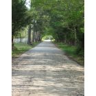 De Berry-Deadwood: Old Town Road, DeBerry, Panola County, Texas