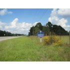 De Ridder: : Old Confederate Military Road Historical Marker on US 171/190 South of DeRidder