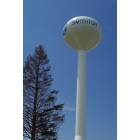 Smithton: Smithton Water Tower by Barbara Markham of RE/MAX Preferred