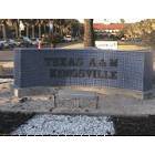 Kingsville: welcome sign at Texas A&M-Kingsville