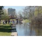 Worcester: Elm Park