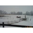 Cloverdale: A farm in Cloverdale, Indiana