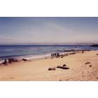 Monterey: Scuba divers